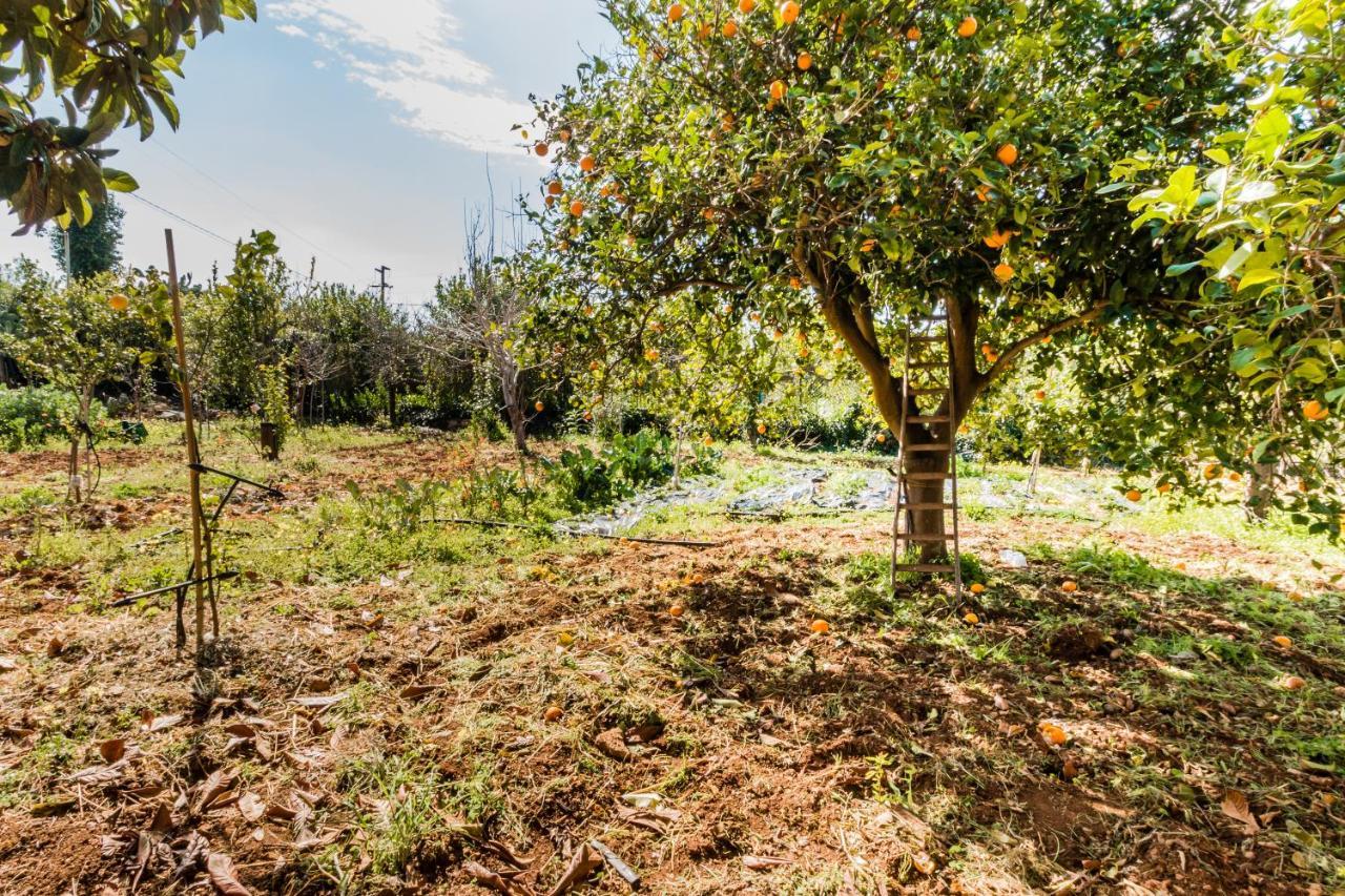 Villa Rosa Near The Sandy Beach, Parking & Wifi Noto Zewnętrze zdjęcie